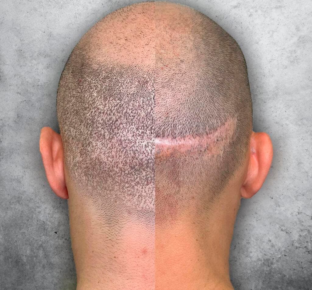 Picture of the author